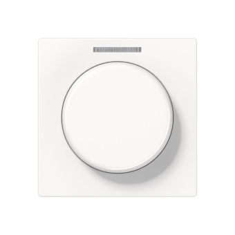 Jung Abdeckung Lichtleiter    A1540KO5WW 