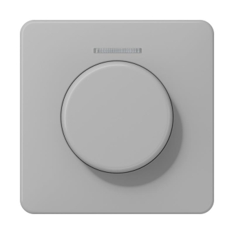 Jung Abdeckung Lichtleiter   CD1540KO5GR 