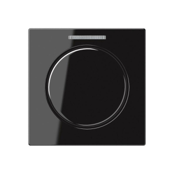Jung Abdeckung Lichtleiter    A1540KO5SW 
