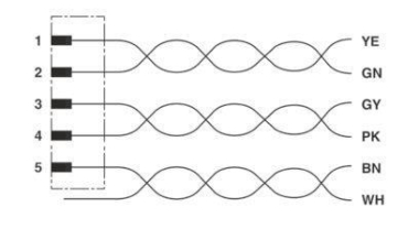 Phoenix 1507065   SAC-5P-M12MSB/ 2,0-900 