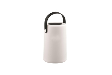 Trio Solar-/Batterieleuchte    R54066101 