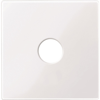 Merten Zentralplatte f.Bus-       451825 