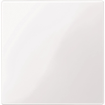 Merten Zentralplatte f.Bus-       450025 