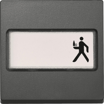 Merten Wippe m.Schriftfeld        433314 