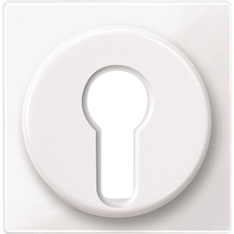 Merten Zentralplatte f.Wechsel-   319525 