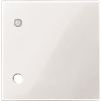 Merten Zentralplatte f.Zugtaster  450719 