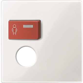 Merten Zentralplatte f.Rufmodul+  450219 