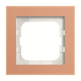 BJ Abdeckrahmen 1-fach          1721-227 