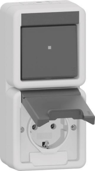GIRA 417630 Kombi Aus-Wechsel/SCHUKO- 