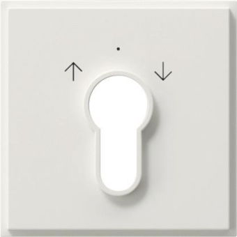 GIRA 066466 Abdeckung Schlüsselschalter 