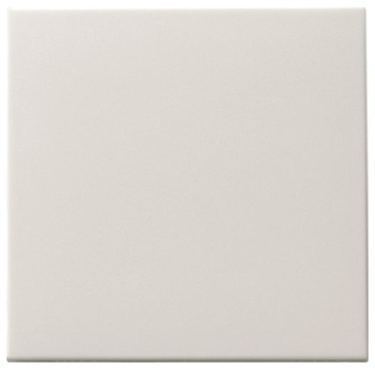 GIRA 091603 Wippe Tastschalter System 55 