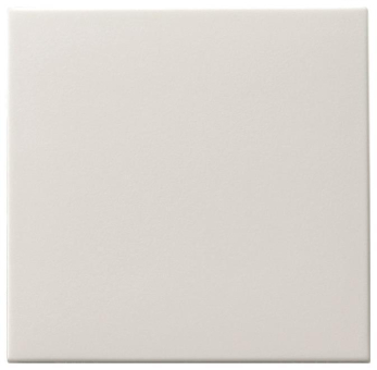 GIRA 091627 Wippe Tastschalter System 55 