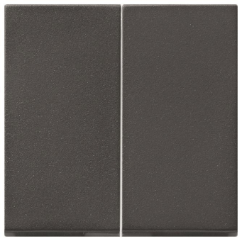 GIRA 091528 Wippe 2fach Tastschalter 