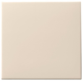 GIRA 091601 Wippe Tastschalter System 55 