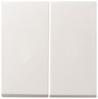 GIRA 0915112 Wippe 2fach Tastschalter 