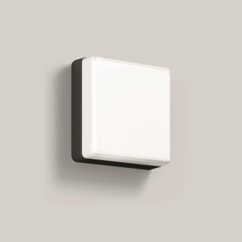 BEGA Wandleuchte Grafit   3000 K 24893K3 