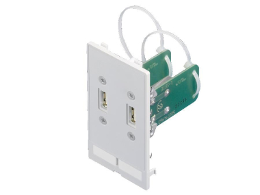 Rittal Schnittstellen Einsatz SZ 2482540 