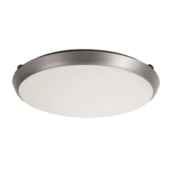 Brumberg                        10029183 