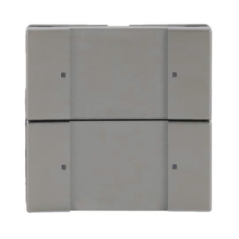 BJ Bedienelement 2/4fach     6126/02-866 