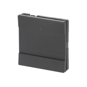 BJ Bedienelement 1/2fach     6125/02-885 