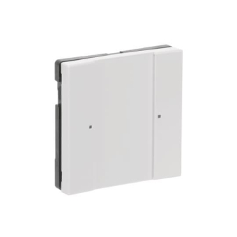 BJ Bedienelement 1/2fach      6125/02-84 