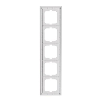 BJ Axcent Rahmen                1725-284 