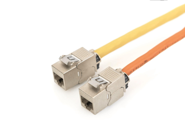 Assmann CAT 6A               DN-93619-24 