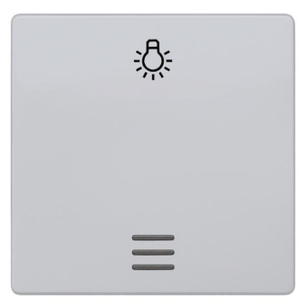 Siemens 5TG6246 DELTA i-system Wippe 