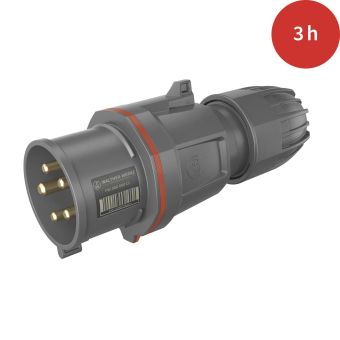 Walther CEE NEO Stecker       FW231503SK 