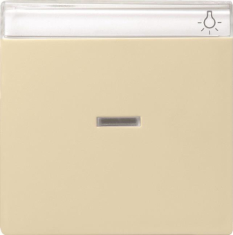 GIRA 067001 Wippe Kontrollfenster+BSF 
