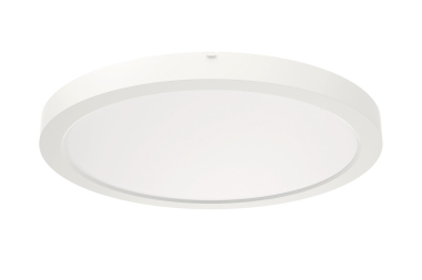 RIDI Sanierungsdownlight SARA220 0322095 