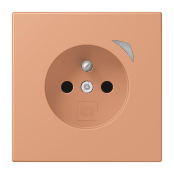 Jung JUNG HOME        BT LC 1521 F S 233 