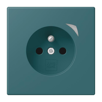 Jung JUNG HOME        BT LC 1521 F S 216 