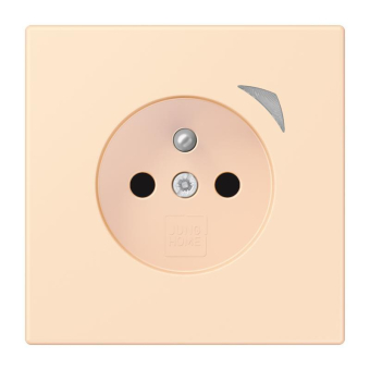 Jung JUNG HOME        BT LC 1521 F S 226 