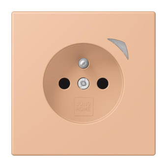 Jung JUNG HOME        BT LC 1521 F S 231 