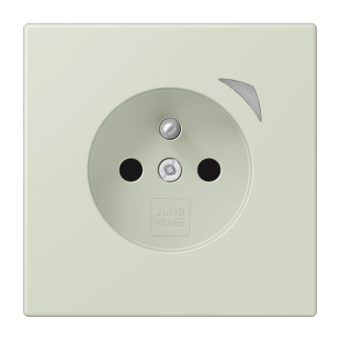 Jung JUNG HOME       BT LC 1521 F SE 218 