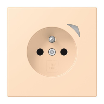 Jung JUNG HOME        BT LC 1521 F S 228 