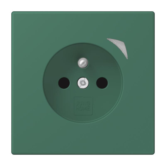 Jung JUNG HOME        BT LC 1521 F S 219 