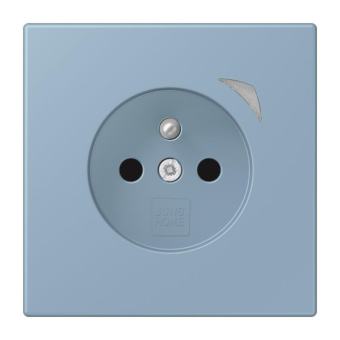 Jung JUNG HOME        BT LC 1521 F S 213 