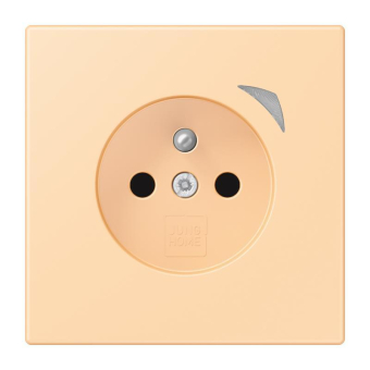 Jung JUNG HOME        BT LC 1521 F S 223 