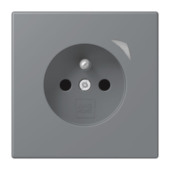 Jung JUNG HOME        BT LC 1521 F S 202 