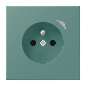 Jung JUNG HOME        BT LC 1521 F S 250 