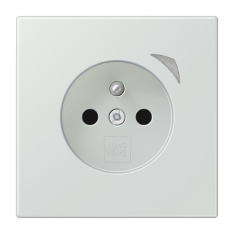 Jung JUNG HOME        BT LC 1521 F S 215 