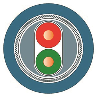 Siemens 6XV18305EH10 PROFIBUS FC Process 