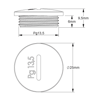 Kleinhuis Verschlussschraube      514/13 
