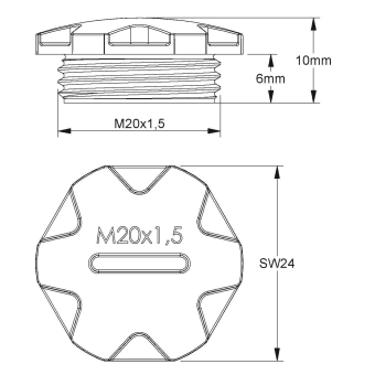 Kleinhuis Verschlussschraube   514GFKM20 