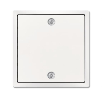 BJ Zentralscheibe studiowei      1796-84 