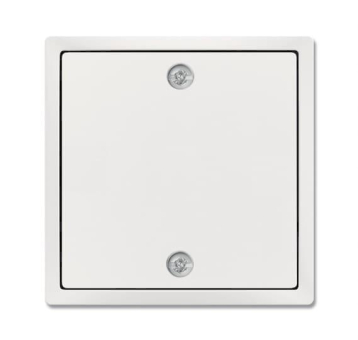 BJ Zentralscheibe studioweiß    1796-884 