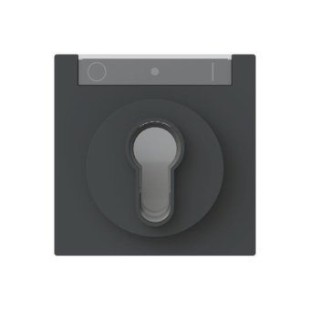 BJ Zentralscheibe         1755 SL/PZ-45M 