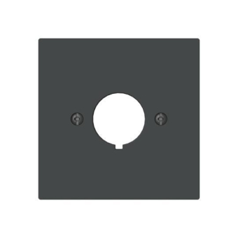 BJ Zentralscheibe m.Tragring m. 2533-45M 